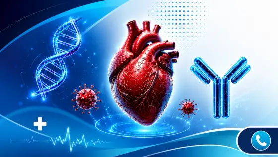 Ilustración de un corazón humano junto a una cadena de ADN y un anticuerpo: diagnóstico de enfermedades autoinmunes y cardioinmunoterapias en CECP Guayaquil